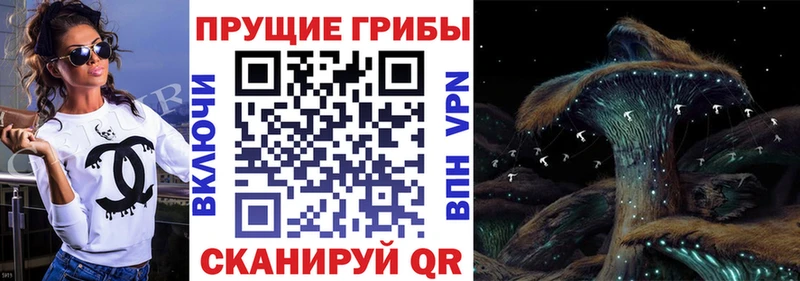 Псилоцибиновые грибы GOLDEN TEACHER  Белово 